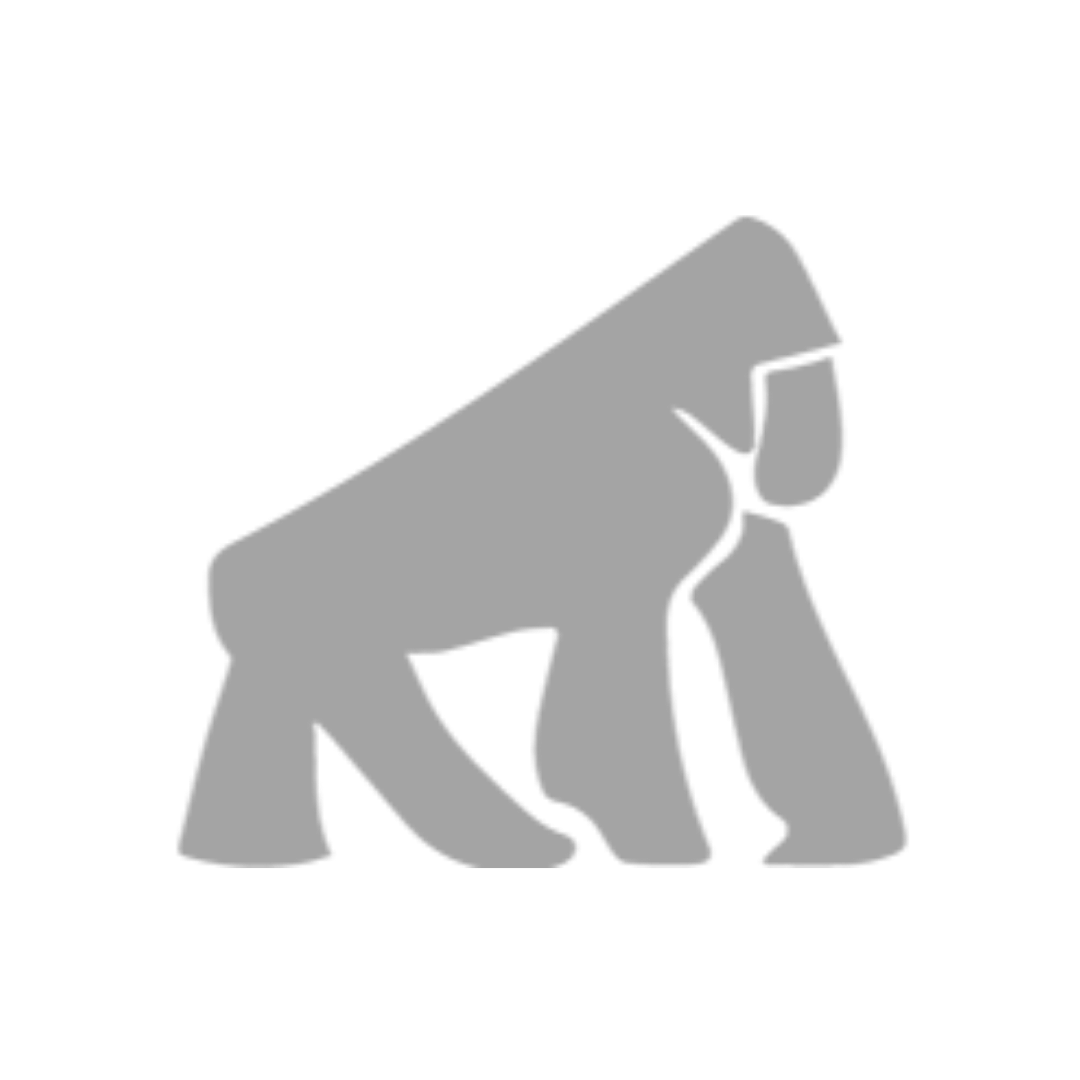 Client Partner Logo