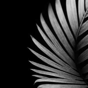 Digitanomics LLP Image