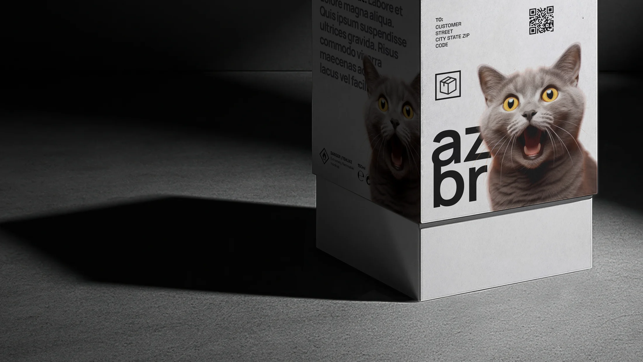 Project Preview Image